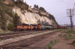BN 3144 with tiger stripes